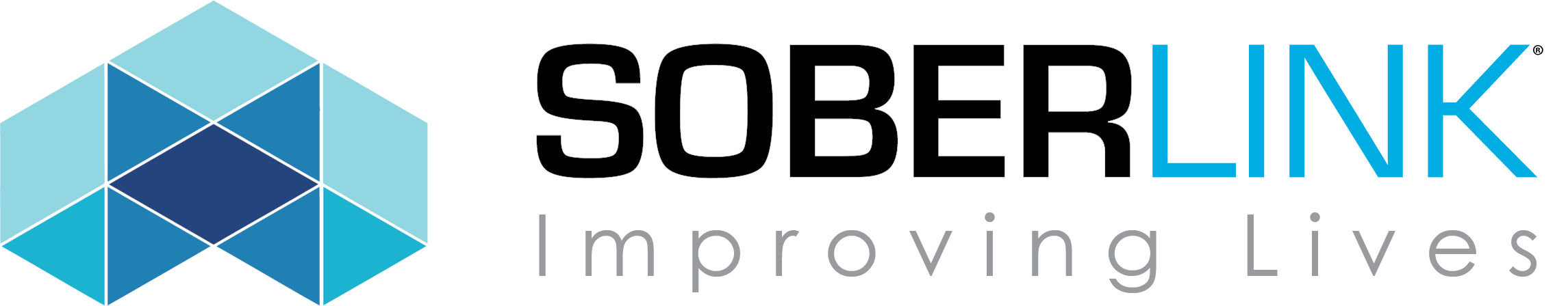 SOBERLINK logo